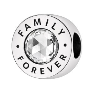 Charm family forever en argent 925 avec zircon central scintillant et gravure Family Forever